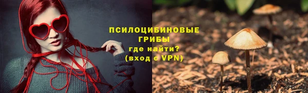крисы Абдулино