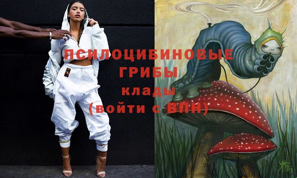 ПСИЛОЦИБИНОВЫЕ ГРИБЫ Аркадак